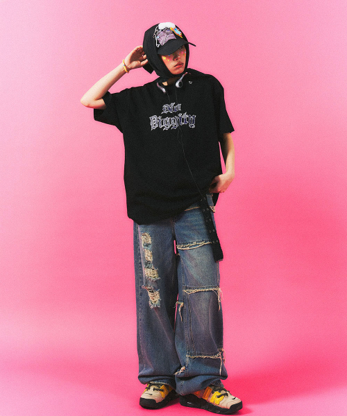 SCHISM INDUCING(スキズムインデューシング)の「NO DIGGITY T SHIRT BLACK(Tシャツ/カットソー・レディース・その他・MEDIUM/LARGE)」の12枚目の写真
