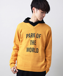 WEGO/プリントVネックニット