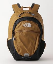 THE NORTH FACE | THE NORTH FACE(ザノースフェイス) SmallDay 15L(バックパック/リュック)