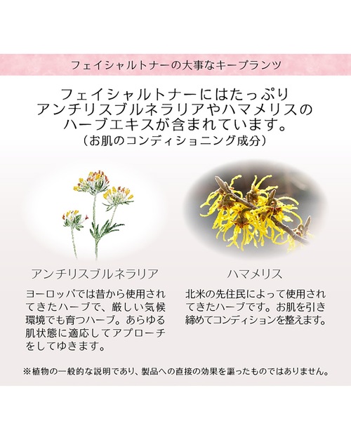 Dr.ハウシュカ フェイシャルトナー（化粧水）｜Dr.Hauschka（ドクターハウシュカ）