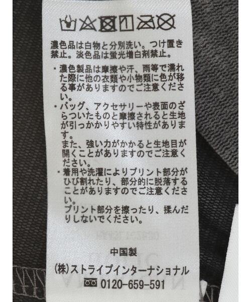 AMERICAN HOLIC(アメリカンホリック)の「シアーベロアTシャツ(Tシャツ/カットソー・レディース・アイボリー/グレー・M/L)」の11枚目の写真