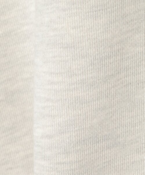 VENCEEXCHANGE（ヴァンスエクスチェンジ）の「マキシマムウェイトジップパーカー（パーカー・メンズ・ブルー/ブラック/レッド/ライトグレー・L/M）」の14枚目の写真