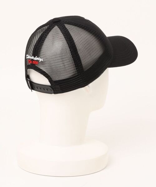 AVIREX（アヴィレックス）の「【AVIREX】EX SOUVENIR TIGER MOTIF MESH CAP/タイガーメッシュキャップ（キャップ・メンズ・グリーン/ベージュ/ブルー/ブラック・FREE）」の5枚目の写真