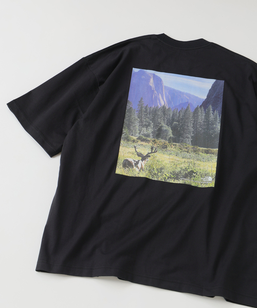 THE NORTH FACE(ザノースフェイス)の「THE NORTH FACE / ザ ノースフェイス ヨセミテ シーナリー 半袖 T(Tシャツ/カットソー・メンズ・ブラック/ホワイト/ネイビー・MEDIUM/LARGE)」の16枚目の写真