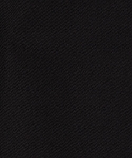 caban（キャバン）の「コットンギャバジン 2タックロングスカート（スカート・レディース・ダークブラウン/ベージュ/ネイビー・XS/S）」の15枚目の写真