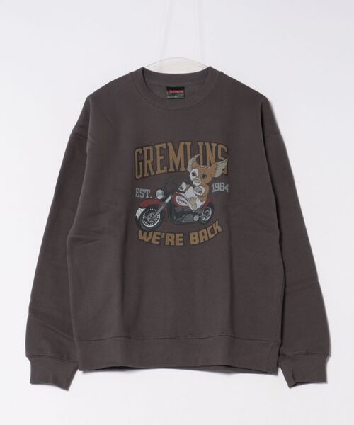 Rendez-Vous(ランデヴー)の「【 GREMLINS 】 グレムリン USED風クルーネックスウェット 25W11(スウェット・レディース・スミクロ/グレイッシュベージュ・MEDIUM/LARGE)」の2枚目の写真