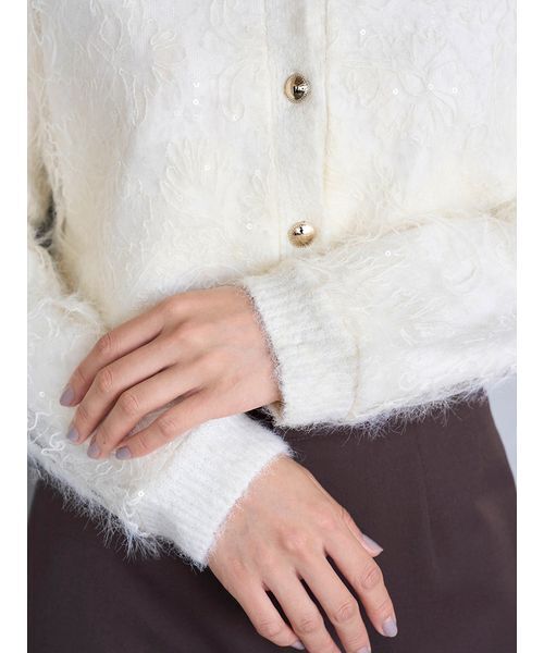 SNIDEL（スナイデル）の「ストラクチャーレースニットカーディガン（カーディガン/ボレロ・レディース・ライトブルー/アイボリー/ブラック・F）」の9枚目の写真