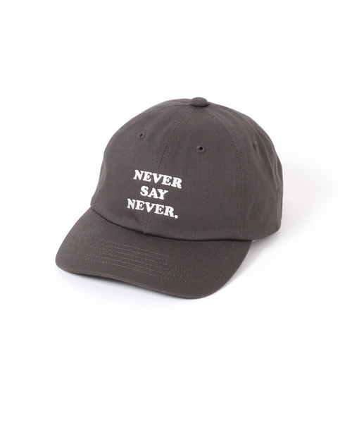 JOURNAL STANDARD(ジャーナルスタンダード)の「JS FES LOGO CAP(キャップ・レディース・ベージュ/ブラック系その他/ボルドー・FREE)」の22枚目の写真