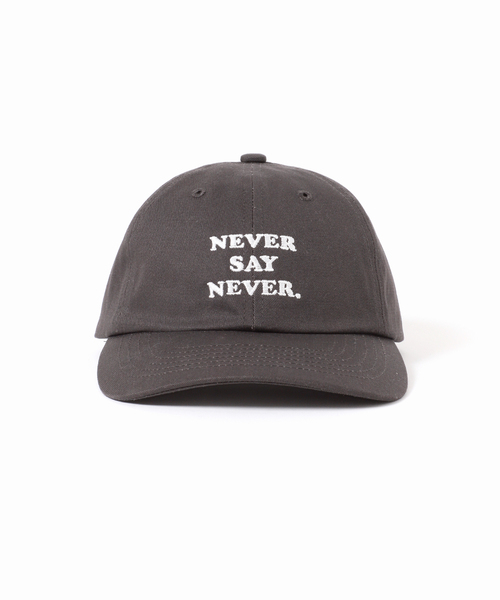 JOURNAL STANDARD(ジャーナルスタンダード)の「JS FES LOGO CAP(キャップ・レディース・ベージュ/ブラック系その他/ボルドー・FREE)」の20枚目の写真
