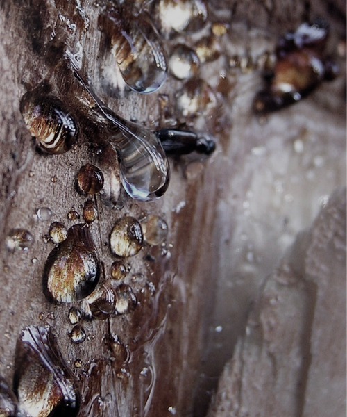 BVLGARI（ブルガリ）の「ブルガリ マン ウッド エッセンス コフレ