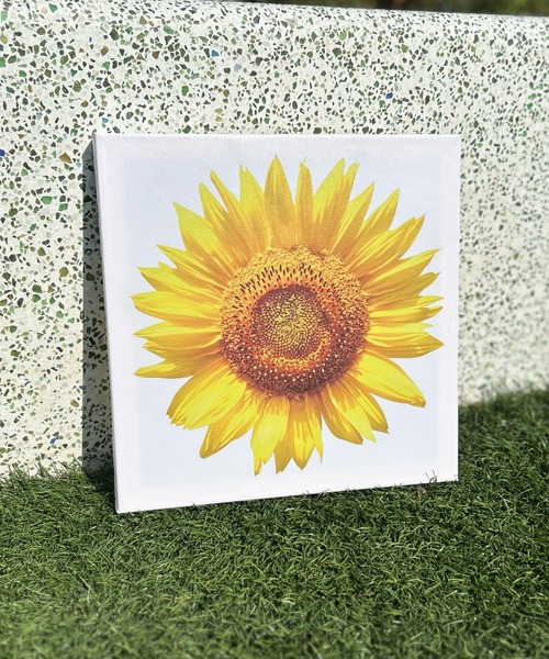 Art Board - ひまわり（ポスター/アート）｜A Little Happiness（ア