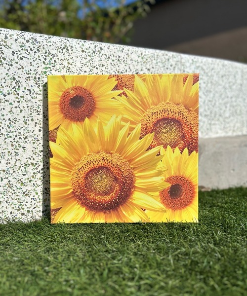 Art Board - ひまわり（ポスター/アート）｜A Little Happiness（ア