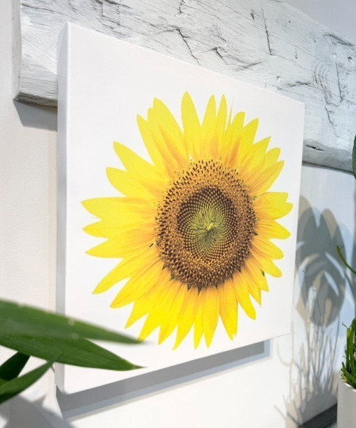 セール】Art Board - ひまわり（ポスター/アート）｜A Little