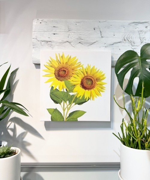 Art Board - ひまわり（ポスター/アート）｜A Little Happiness（ア