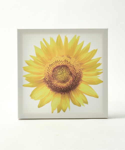 セール】Art Board - ひまわり（ポスター/アート）｜A Little