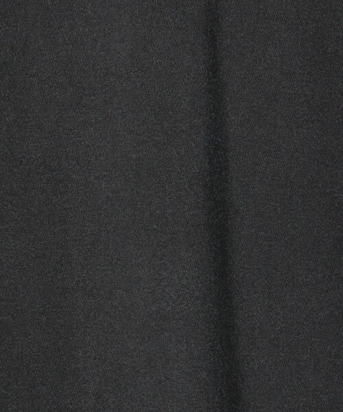 JAMES PERSE(ジェームスパース)の「コットンジャージー ラウンジTシャツ MLJ3311(Tシャツ/カットソー・メンズ・ベージュ/ブラック系その他/グレー・1/0/2/3/4)」の7枚目の写真