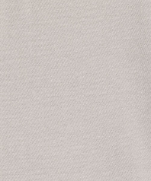 JAMES PERSE(ジェームスパース)の「コットンジャージー ラウンジTシャツ MLJ3311(Tシャツ/カットソー・メンズ・ベージュ/ブラック系その他/グレー・1/0/2/3/4)」の8枚目の写真