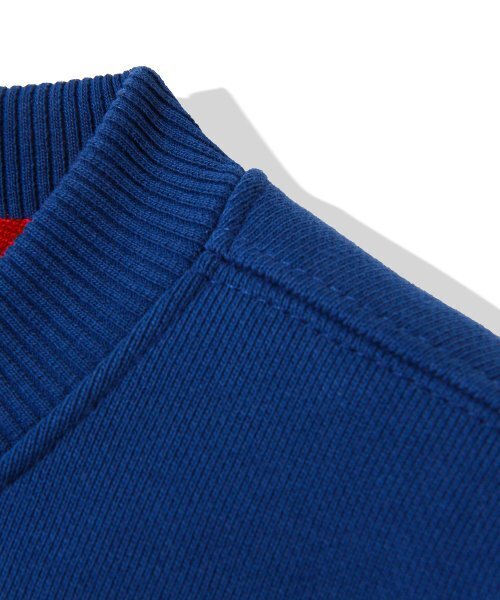 Diamond Layla（ダイアモンドレイラ）の「Feroce Arch Logo Sweatshirt T83 - Blue（スウェット・レディース・その他・LARGE/X-LARGE）」の4枚目の写真