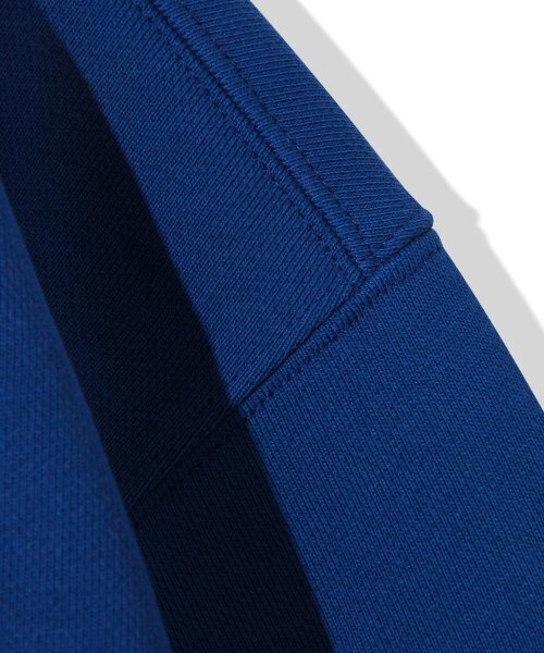 Diamond Layla（ダイアモンドレイラ）の「Feroce Arch Logo Sweatshirt T83 - Blue（スウェット・レディース・その他・LARGE/X-LARGE）」の5枚目の写真