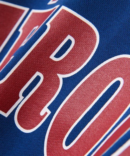 Diamond Layla（ダイアモンドレイラ）の「Feroce Arch Logo Sweatshirt T83 - Blue（スウェット・レディース・その他・LARGE/X-LARGE）」の7枚目の写真