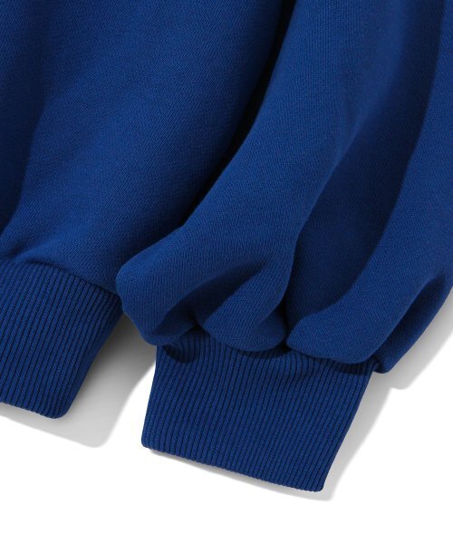 Diamond Layla（ダイアモンドレイラ）の「Feroce Arch Logo Sweatshirt T83 - Blue（スウェット・レディース・その他・LARGE/X-LARGE）」の8枚目の写真