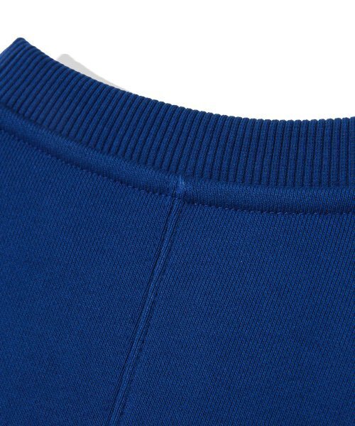 Diamond Layla（ダイアモンドレイラ）の「Feroce Arch Logo Sweatshirt T83 - Blue（スウェット・レディース・その他・LARGE/X-LARGE）」の11枚目の写真