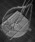 NO WAY�i�m�[�E�F�C�j�́u/���f�B�[�X �X�^�[�l�b�N���X �Z�b�g Y2K(BDS)�i�l�b�N���X�j�v�b�V���o�[