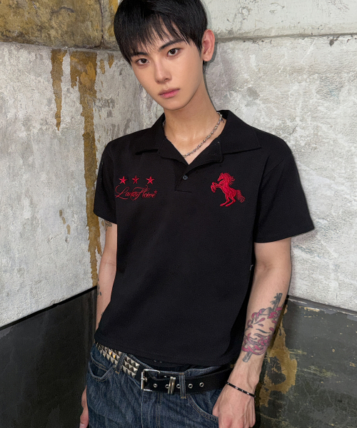 LANARCHIVE（ランアーカイブ）の「[0144] ワイルドホースピケ半袖Tシャツ - ブラック（ポロシャツ・レディース・ブラック・FREE）」の9枚目の写真