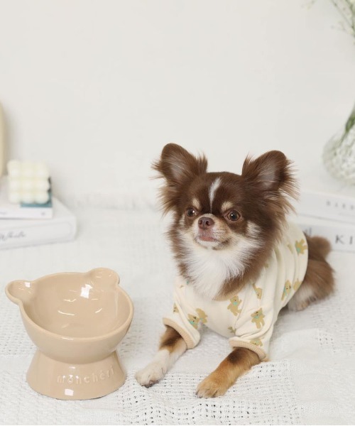 moncheri(モンシェリ)の「くまさんフードボウル【電子レンジ・食洗器可能】(その他ペットグッズ・レディース・ベージュ・FREE)」の3枚目の写真