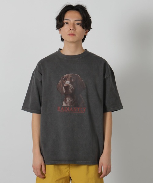 LAKOLE(ラコレ)の「ヴィンテージライク半袖T / 327685(Tシャツ/カットソー・メンズ・その他1/その他2/その他3・MEDIUM/LARGE)」の8枚目の写真