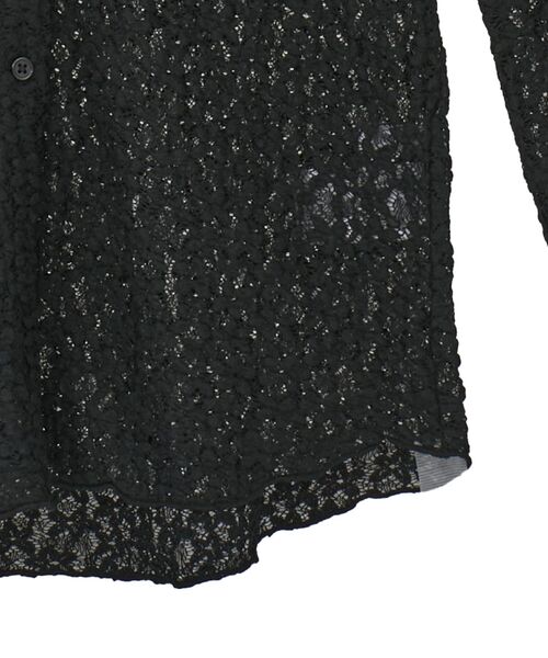 Green Parks(グリーンパークス)の「カットレースシャツプルオーバー(シャツ/ブラウス・レディース・アイボリー/ブラック/ブラウン・FREE)」の19枚目の写真