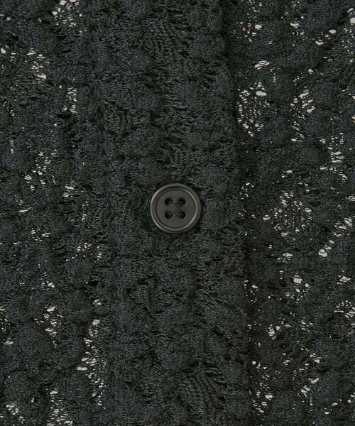 Green Parks(グリーンパークス)の「カットレースシャツプルオーバー(シャツ/ブラウス・レディース・アイボリー/ブラック/ブラウン・FREE)」の6枚目の写真