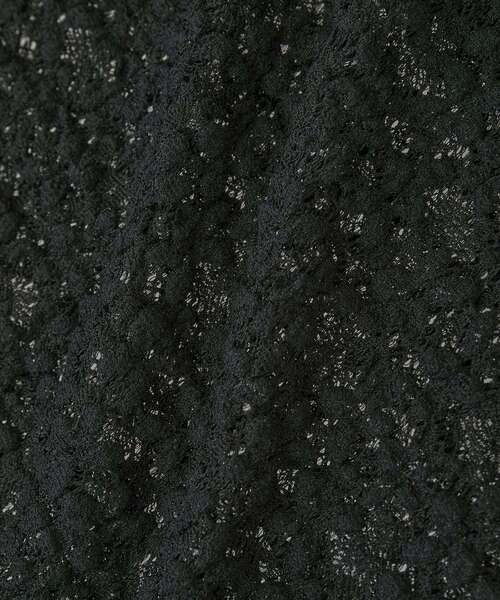 Green Parks(グリーンパークス)の「カットレースシャツプルオーバー(シャツ/ブラウス・レディース・アイボリー/ブラック/ブラウン・FREE)」の7枚目の写真