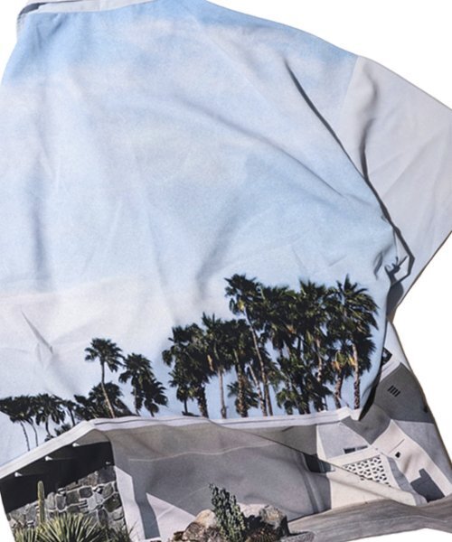 SUNDAY FRUIT MARKET(サンデーフルーツマーケット)の「HOLIDAY TYRANNO SHIRT(シャツ/ブラウス・メンズ・その他・SMALL/MEDIUM/LARGE)」の2枚目の写真
