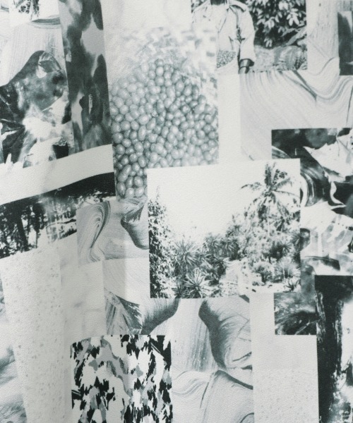 JEANASIS(ジーナシス)の「【SETUP対応】リサイクルコーヒーレギュラーシャツSS/952902(シャツ/ブラウス・レディース・ベージュ/アイボリー/モスグリーン/ブラック系その他・FREE)」の19枚目の写真