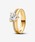 Pandora�i�p���h���j�́u�_�u���o���h �n�[�g �����O�i�����O�j�v�b�C�G���[�S�[���h