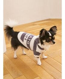 gelato pique(WF[gsP)́yCAT&DOGzX[YB[Q{[_[t[fB[(ybgEFA)
