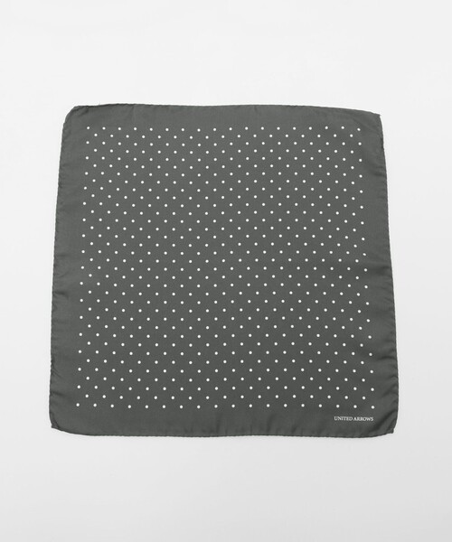 UNITED ARROWS(ユナイテッドアローズ)の「ドット ポケットチーフ(ポケットチーフ・メンズ・グレー系/ネイビー/パープル/ブラウン系/ブラック・FREE)」の14枚目の写真