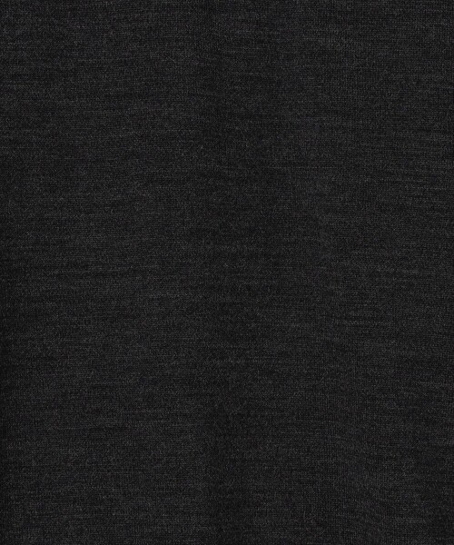 TOMORROWLAND (トゥモローランド)の「TOMORROWLAND tricot スーパーファインメリノウール Vネックニット S-WOOL(ニット/セーター・メンズ・チャコールグレー/ブラック/ボルドー/ネイビー・S/M/L)」の14枚目の写真