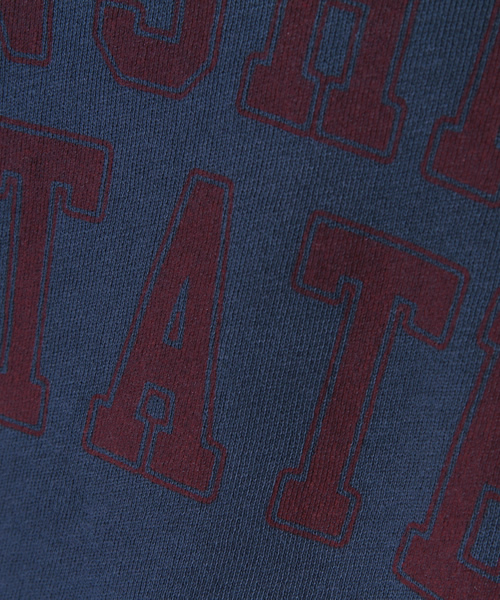 WEGO（ウィゴー）の「ロゴプリントスウェットプルオーバー（スウェット・レディース・ブラック/杢グレー/オートミール/ブルー/レッド・FREE）」の12枚目の写真