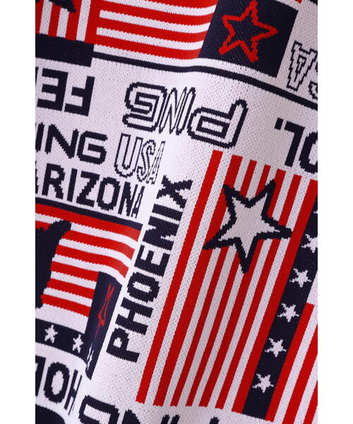 【新品】ピン★星柄　ニット　セーター　L PING PING（ピン）の「【PING APPAREL】Starry三色旗柄ジャカード