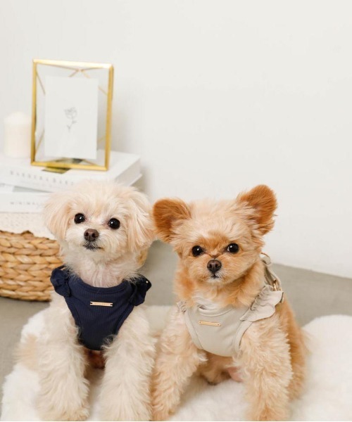 moncheri（モンシェリ）の「ショルダーフリルハーネス＋リードSET【ワンタッチ着脱・サイズ調整可能】（リード/ハーネス/首輪・レディース・ベージュ/ネイビー/ピンク/アイボリー/ブルー・S/M/L/XL）」の18枚目の写真