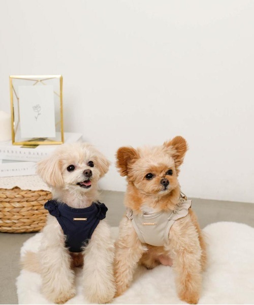 moncheri（モンシェリ）の「ショルダーフリルハーネス＋リードSET【ワンタッチ着脱・サイズ調整可能】（リード/ハーネス/首輪・レディース・ベージュ/ネイビー/ピンク/アイボリー/ブルー・S/M/L/XL）」の19枚目の写真