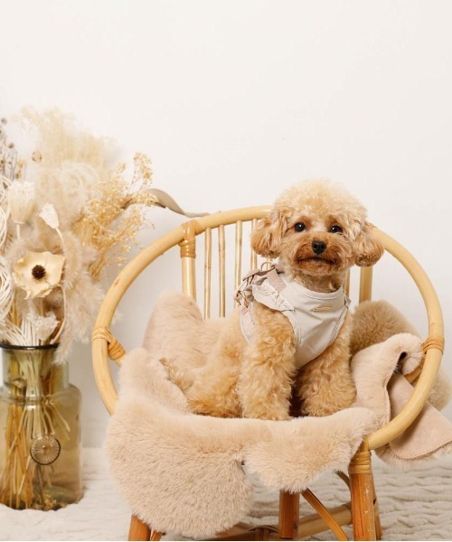 moncheri（モンシェリ）の「ショルダーフリルハーネス＋リードSET【ワンタッチ着脱・サイズ調整可能】（リード/ハーネス/首輪・レディース・ベージュ/ネイビー/ピンク/アイボリー/ブルー・S/M/L/XL）」の20枚目の写真