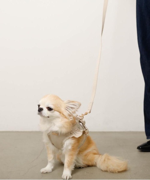 moncheri（モンシェリ）の「ショルダーフリルハーネス＋リードSET【ワンタッチ着脱・サイズ調整可能】（リード/ハーネス/首輪・レディース・ベージュ/ネイビー/ピンク/アイボリー/ブルー・S/M/L/XL）」の22枚目の写真