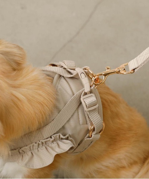 ショルダーフリルハーネス＋リードSET【ワンタッチ着脱・サイズ調整