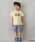 petit mainiveB}Cj́uypzn[tpciXCObYjvbu[n̑
