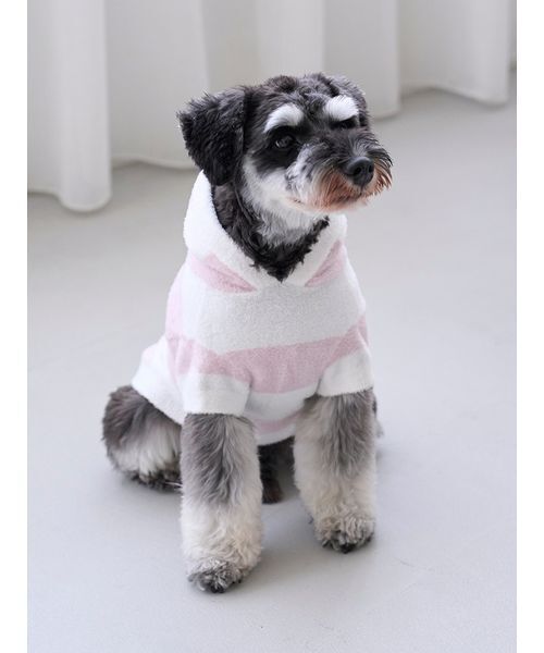CAT&DOG】スムーズィーXLサイズ2ボーダーフーディー（ペットウェア