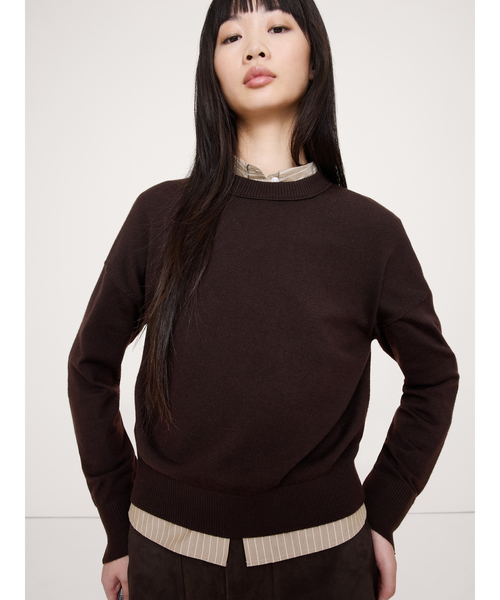 Banana Republic(バナナリパブリック)の「メリノ クルーネックセーター(ニット/セーター・レディース・ブラウン/レッド系その他/イエロー/グリーン/ネイビー・S/M/L/XS)」の10枚目の写真