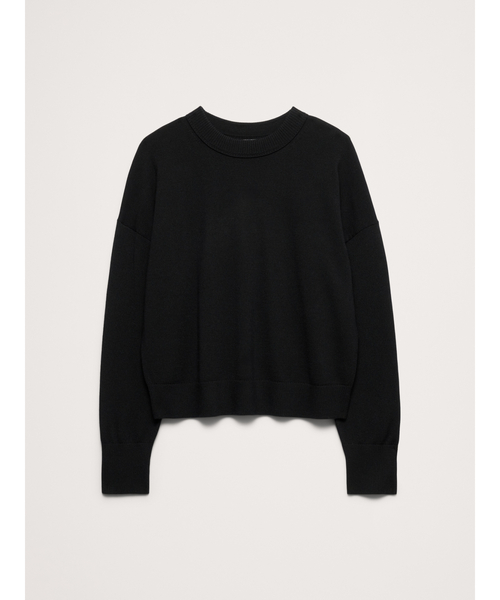 Banana Republic(バナナリパブリック)の「メリノ クルーネックセーター(ニット/セーター・レディース・ブラウン/レッド系その他/イエロー/グリーン/ネイビー/アイボリー/ブラウン系その他/ブラック・S/M/L/XS)」の19枚目の写真